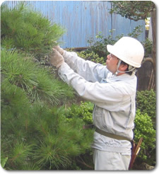 ���̙���i����j��ƒ�