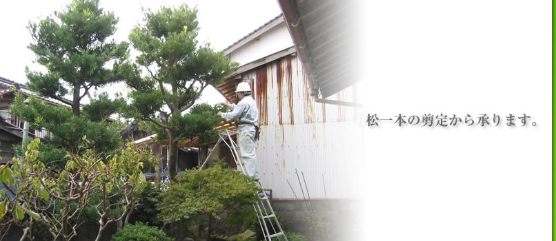 �΂�����؂̎���i����j�ȂǁA����{�̙��肩�珳��܂��B